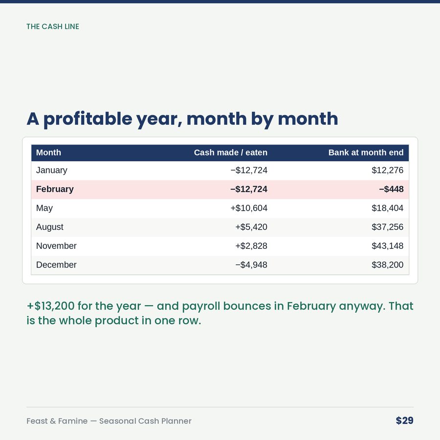 Feast & Famine: The Seasonal Cash Planner — table